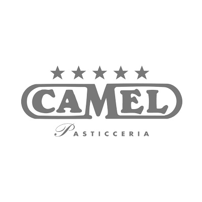 https://liquorificioitalia.it/wp-content/uploads/2019/08/Logo_0019_camel.jpg